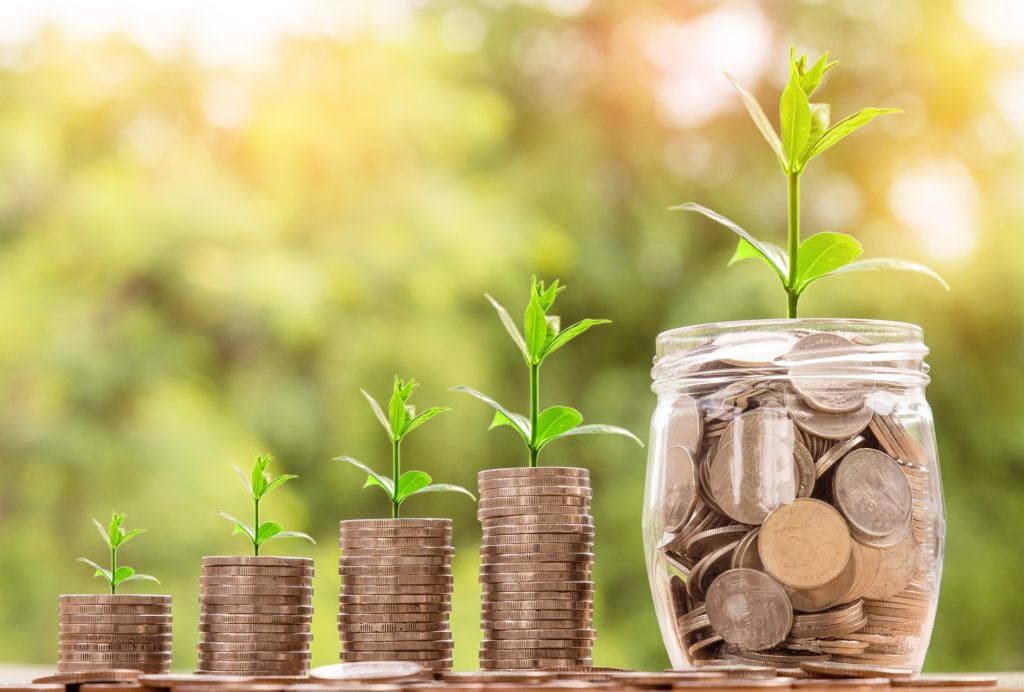 Pilas de monedas cada vez más altas con plantas creciendo: el interés compuesto en acción